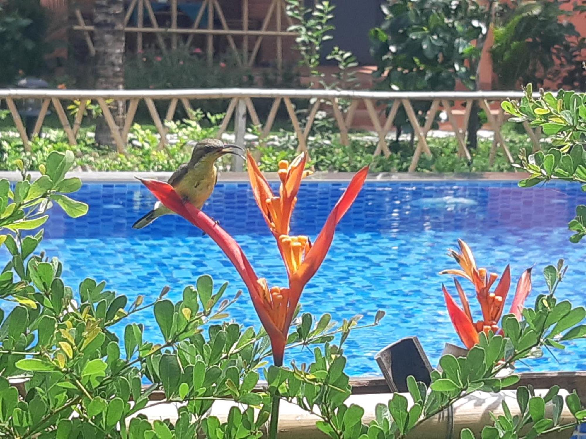Anan Boutique Bungalows With Private Kitchen Phu Quoc Luaran gambar